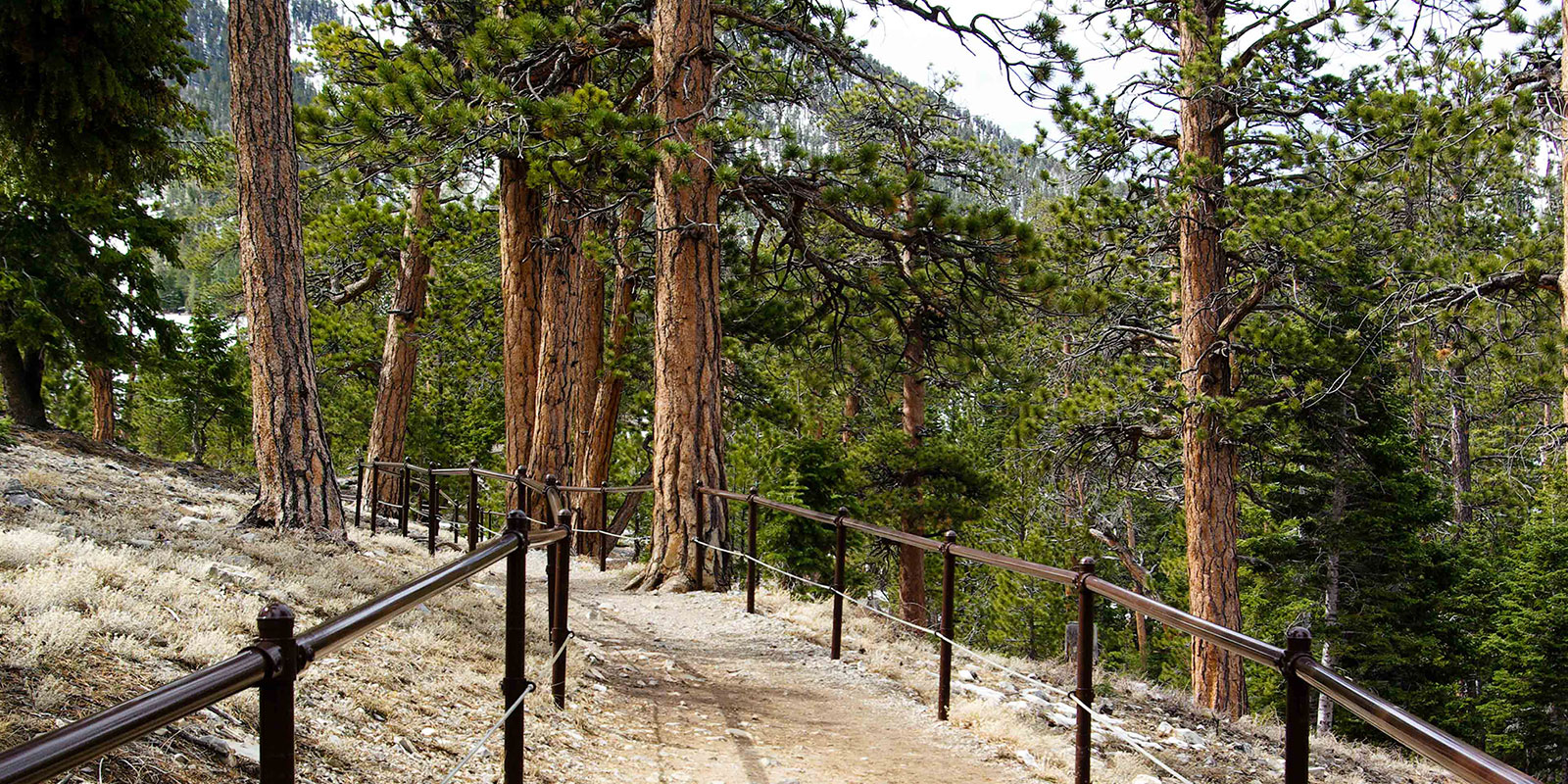 Hiking at Lee Canyon