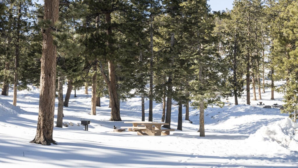 Snow Play area in Old Mill