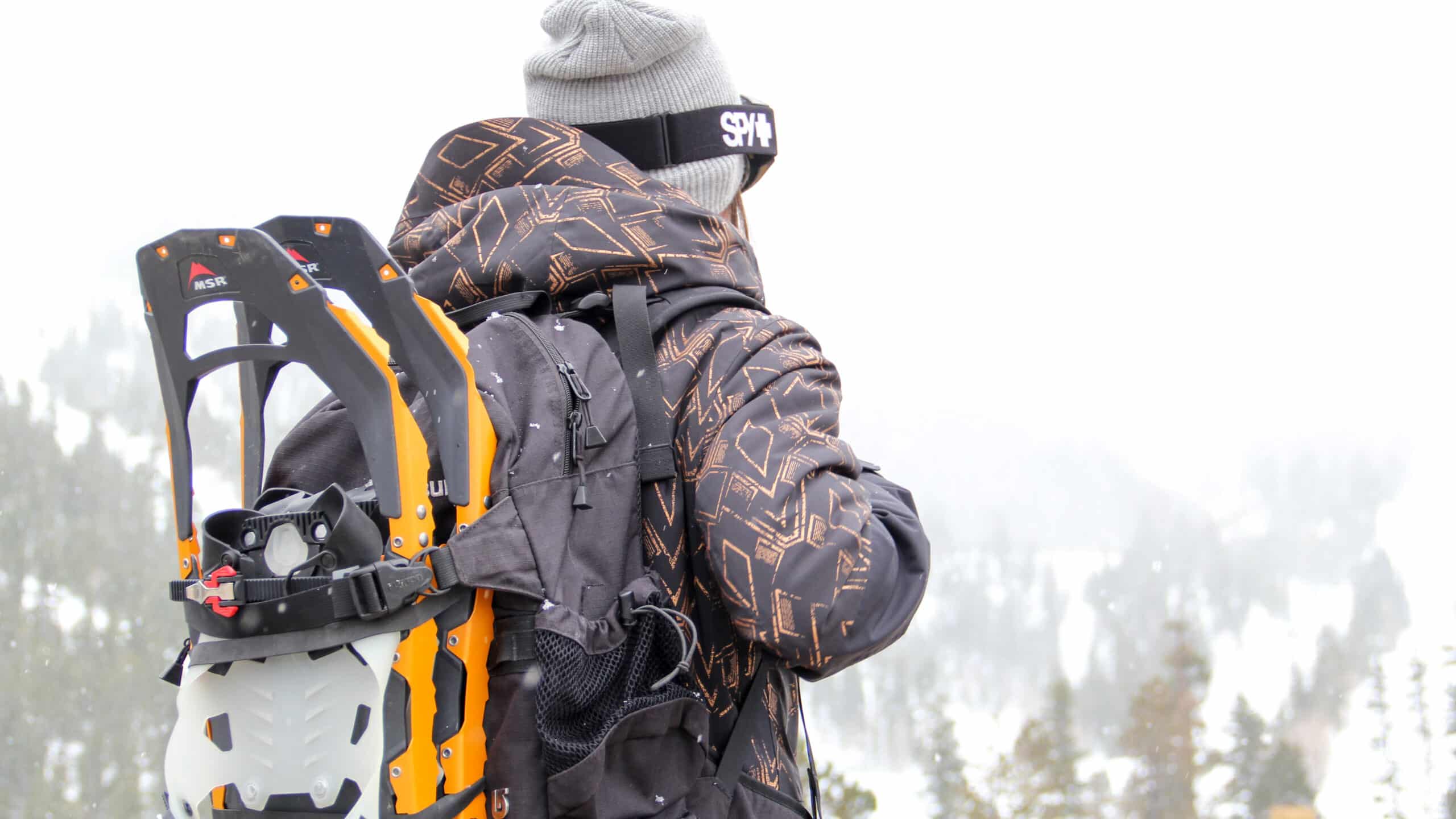 Snowshoeing at Lee Canyon