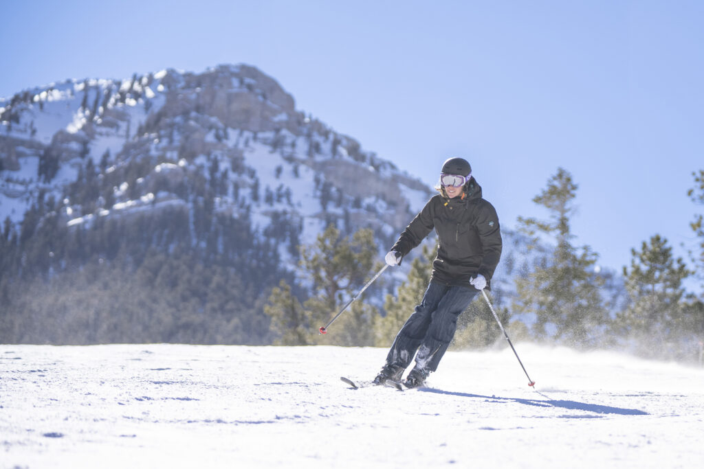 Skier and Lee Peak